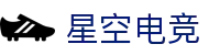 星空电竞(StarSky Sports)官网-华语电竞行业引领者